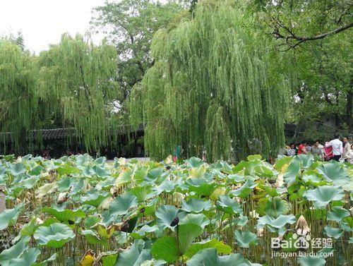 清明節假期旅遊攻略