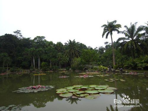 雲南省最佳旅遊路線小攻略