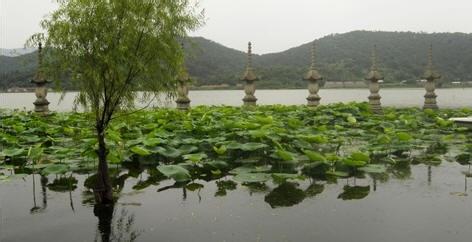 上海遊客慈溪自駕一日遊攻略