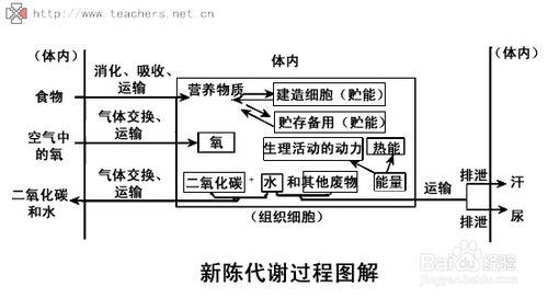 預防掉頭髮的辦法