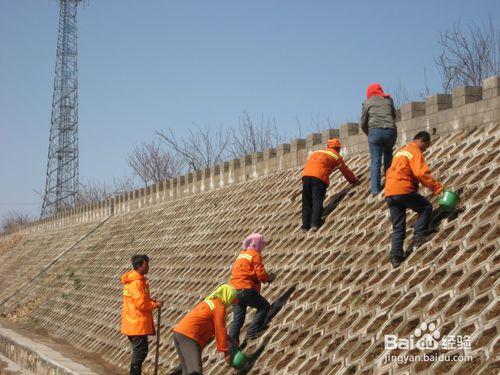 暢安舒美的喀左公路