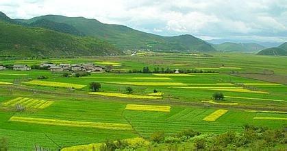 雲南跟團旅遊景點、注意事項