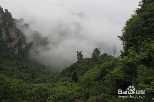 東營到張家界旅遊攻略