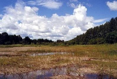 國內旅遊推薦之最具魅力森林景觀