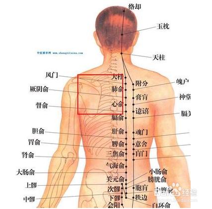 右後背疼是怎麼回事