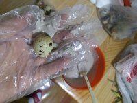 自制松花鵪鶉蛋的詳細做法