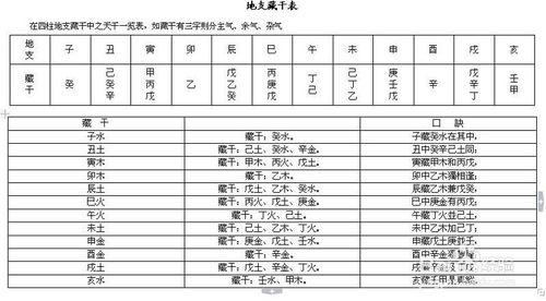 《揭祕十二地支藏十天干的原理》