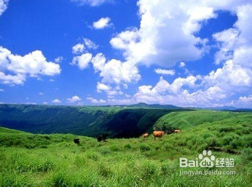 重慶一日遊之仙女山、天坑三橋