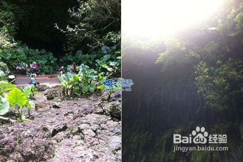 坐著高鐵去海南，海南高鐵遊線路