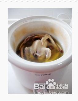 茶樹菇燉鴿子湯