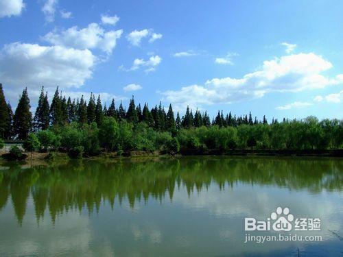 崇明東平國家森林公園二日自駕經驗