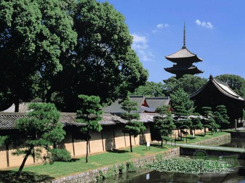 東京自助旅遊攻略