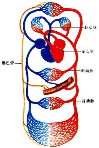 超詳細手掌穴點陣圖解