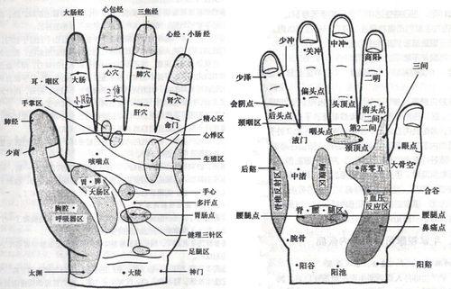 超詳細手掌穴點陣圖解