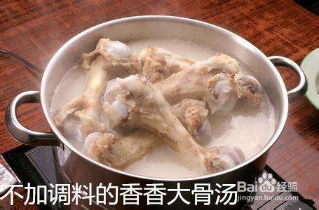 可愛的家養鬆獅怎麼會缺鈣呢？