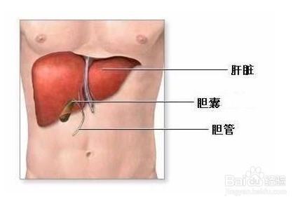 分析兩頰長痘原因 戰痘五妙招