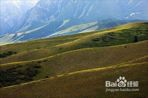 南山牧場旅遊可以看哪些景點