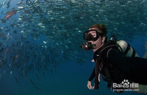 成都海濱購物城浩海立方海洋館遊玩攻略