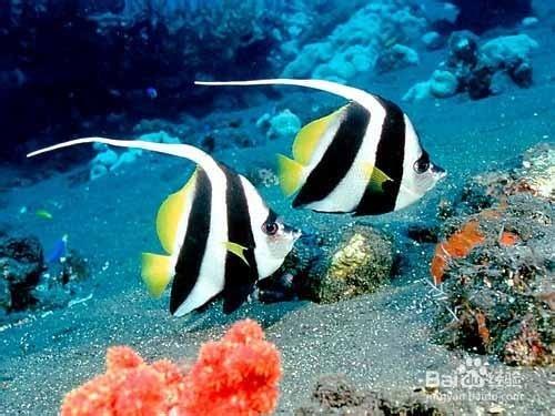 成都海濱購物城浩海立方海洋館遊玩攻略