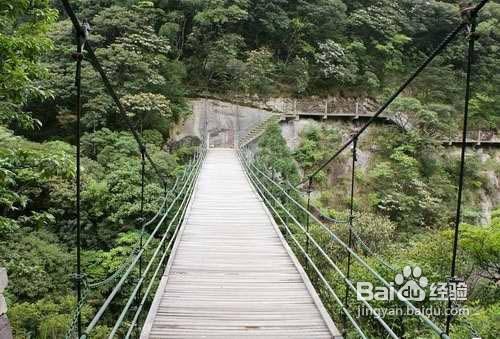 武漢龍泉山圖片、遊記攻略、電子地圖