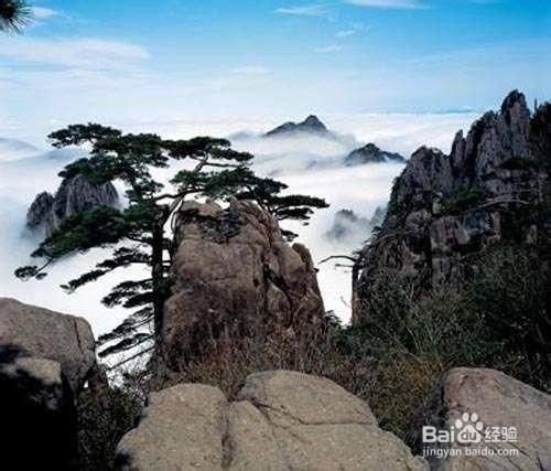 天外天，山外山！黃山旅遊攻略！