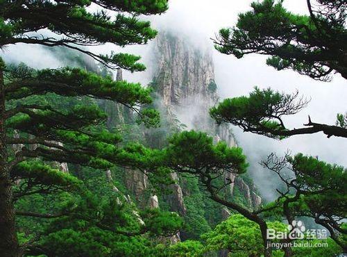 天外天，山外山！黃山旅遊攻略！