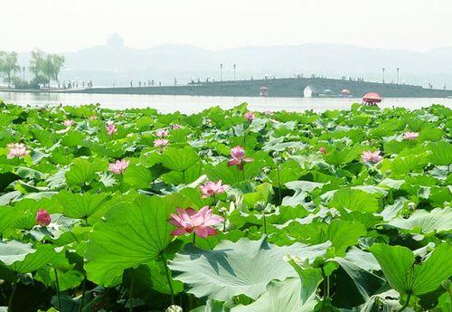 怎樣從上海到杭州、千島湖、烏鎮旅遊行程安排