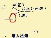 如何看化學平衡中的速率—時間圖