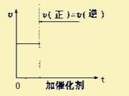 如何看化學平衡中的速率—時間圖