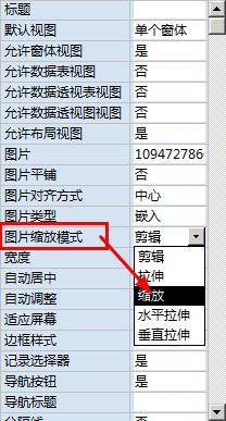 access怎樣插入和設定窗體背景圖片