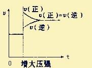 如何看化學平衡中的速率—時間圖