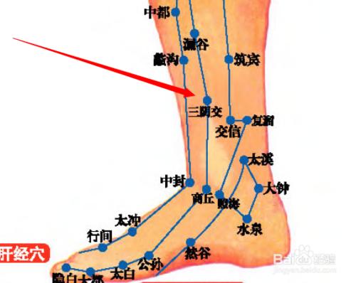 三陰交穴位位置圖和作用