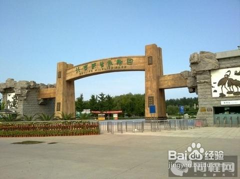 北京野生動物園攻略