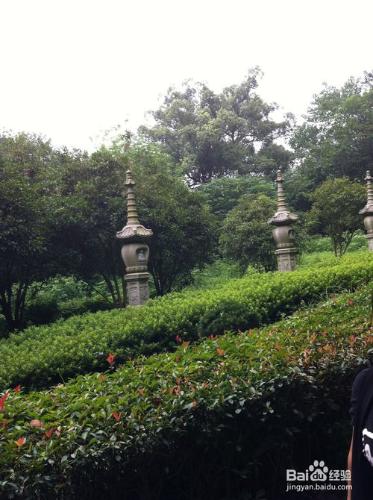 杭州靈隱寺（畢業遊）