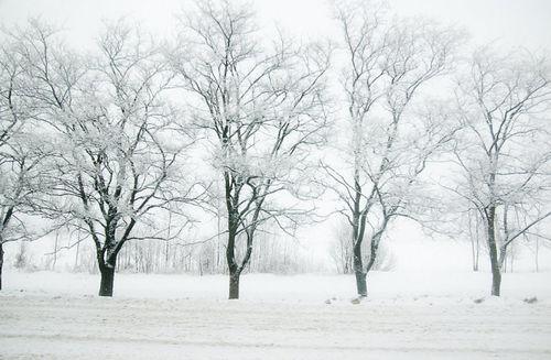 白雪戀歌：冬季去白俄羅斯看雪