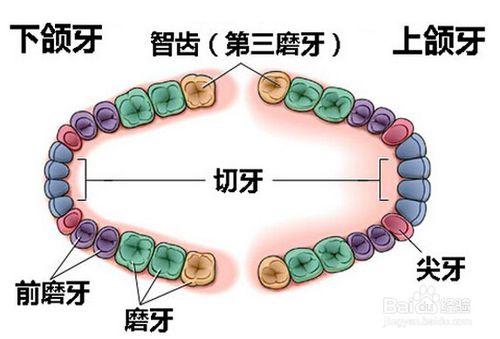 長智齒時，疼痛難忍，怎麼辦？