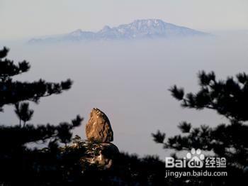 怎樣才能安心的寫經驗