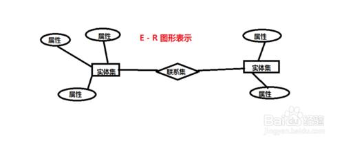 E-R圖中個圖形所表示的屬性是什麼