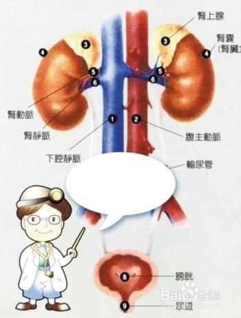 暴飲暴食對身體的害處