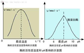 生物必修一5.1降低化學反應活化能的酶