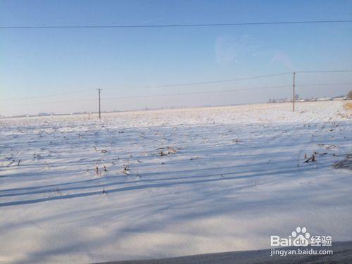 哈爾濱雪谷雪鄉旅遊攻略