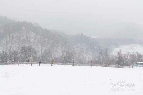 哈爾濱雪谷雪鄉旅遊攻略