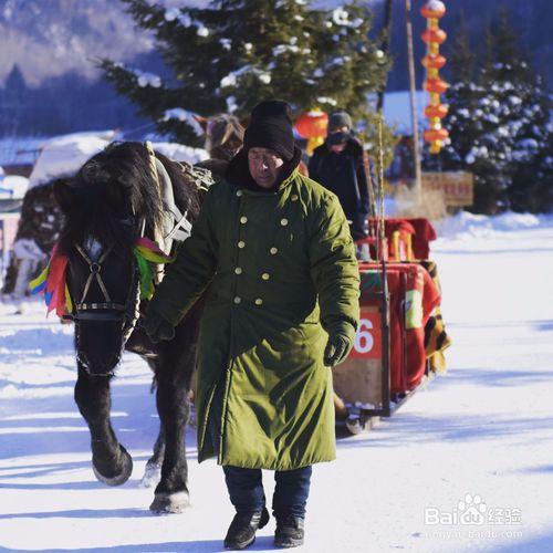 哈爾濱雪谷雪鄉旅遊攻略