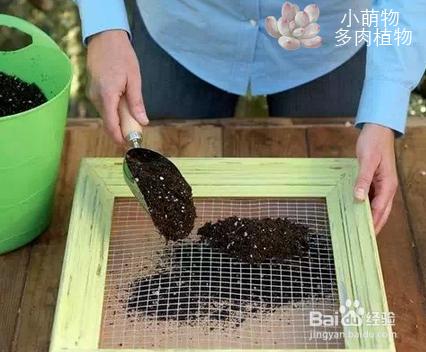 多肉植物牆製作教程