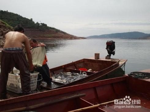 河南小浪底遊玩風景簡介