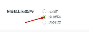 教你如何使用360瀏覽器Se8版之標籤設定