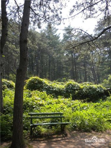 山東到哪兒去爬山？（一）