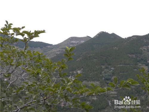 山東到哪兒去爬山？（一）