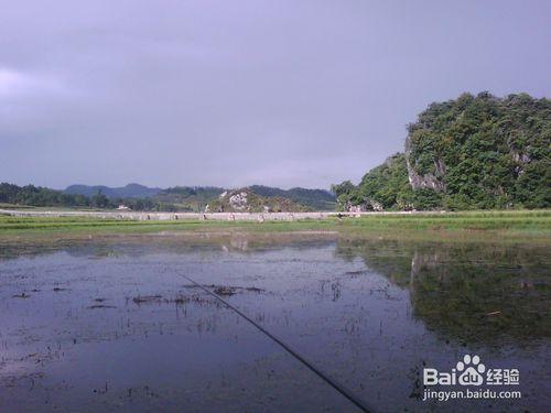 新手野釣小經驗