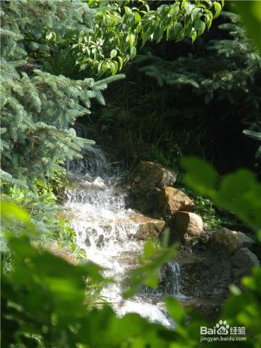 山東到哪兒去爬山？（一）